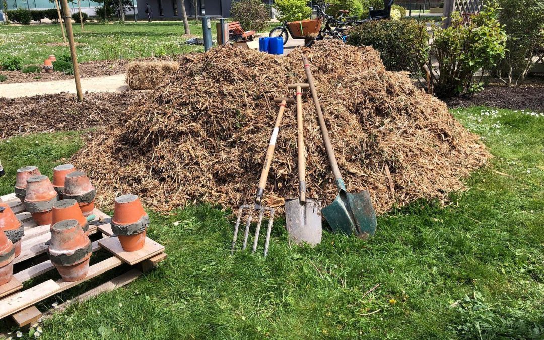 Entretien collectif des îlots fruitiers